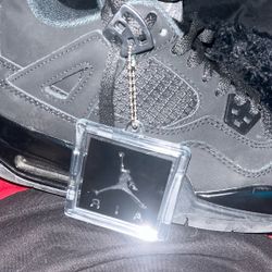 Air Jordan Black Cat 4 