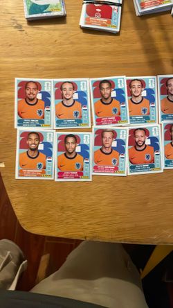 Netherlands panini sticker team