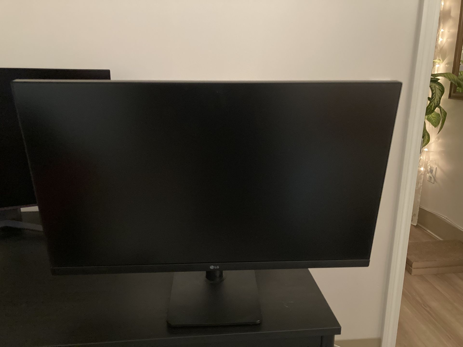 LG PC Minitor