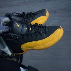 Jordan 12