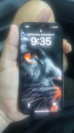 iPhone 14