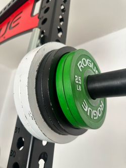 ROGUE Steel Plate Set, Excellent Condition