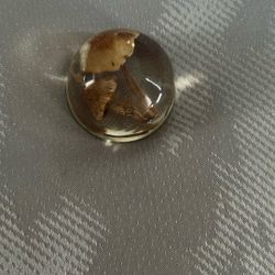 Mushroom Paperweight