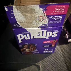 Pull Ups 