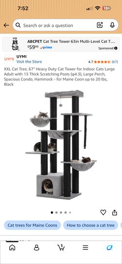 Cat Tree