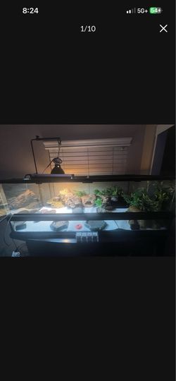 Reptile Tank