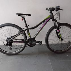 BICYCLE LIV GIANT 21 SPEED BRAND NEW 