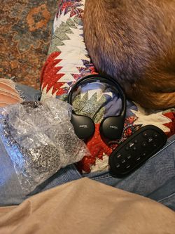 Video Entertainment System Accessories
