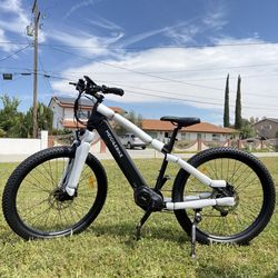 Electric Bicycle 🆕