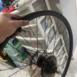 27,5 Rim