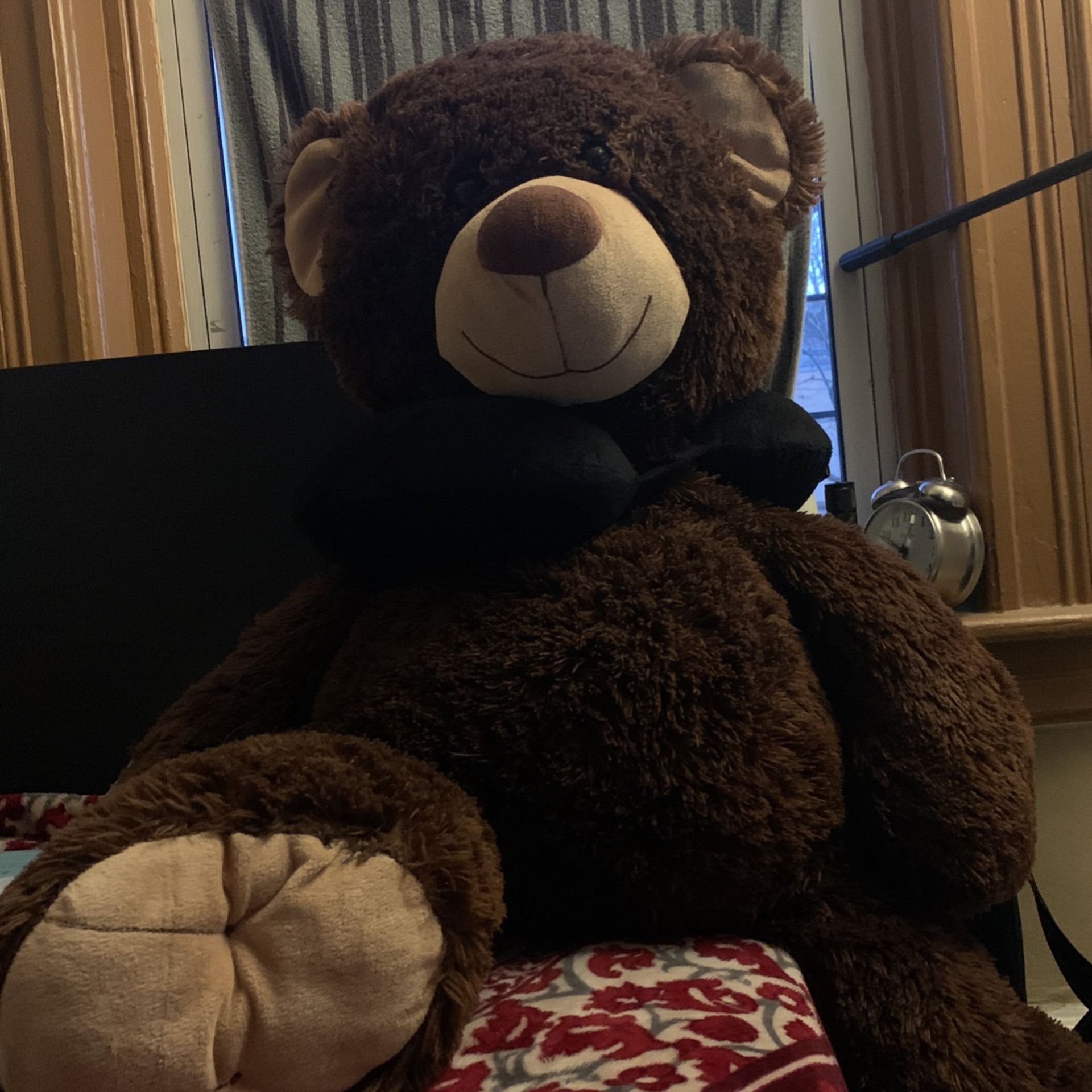 Big Ass Teddy Bear