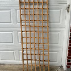 Climber Plant Hanger 