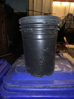 Used Plastic Nursery Pot 5 gallons