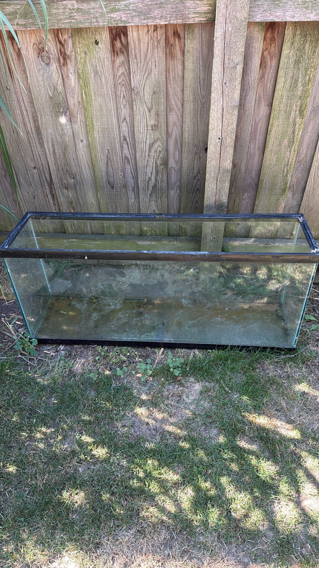 Reptile(or Fish) Tank- Read Description. 