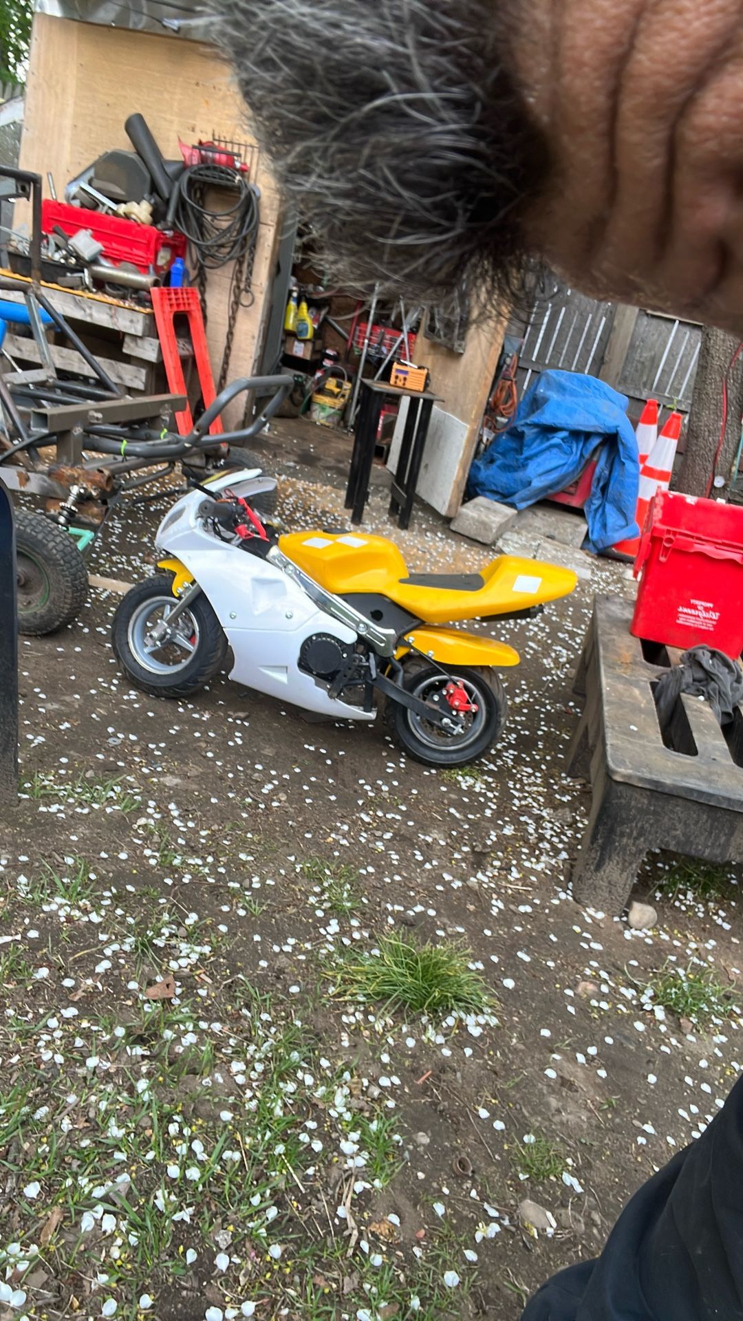 Mini Race Bike