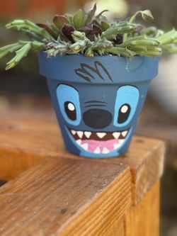 Succulents