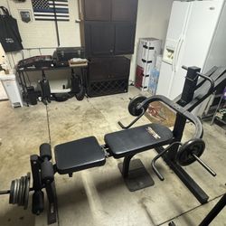 Bench / shoulder Press Weighted Multi Functional Equipment 