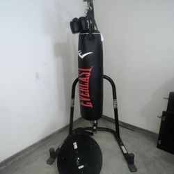 Everlast Dual-Station heavy bag & speed bag stand 