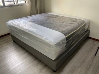 MOVING OUT New Mattresses (Every Size) Needs to Go‼️