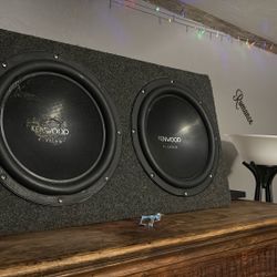 2 12 Inch Subwoofers  In Ported Box With 1100 Watt Amp