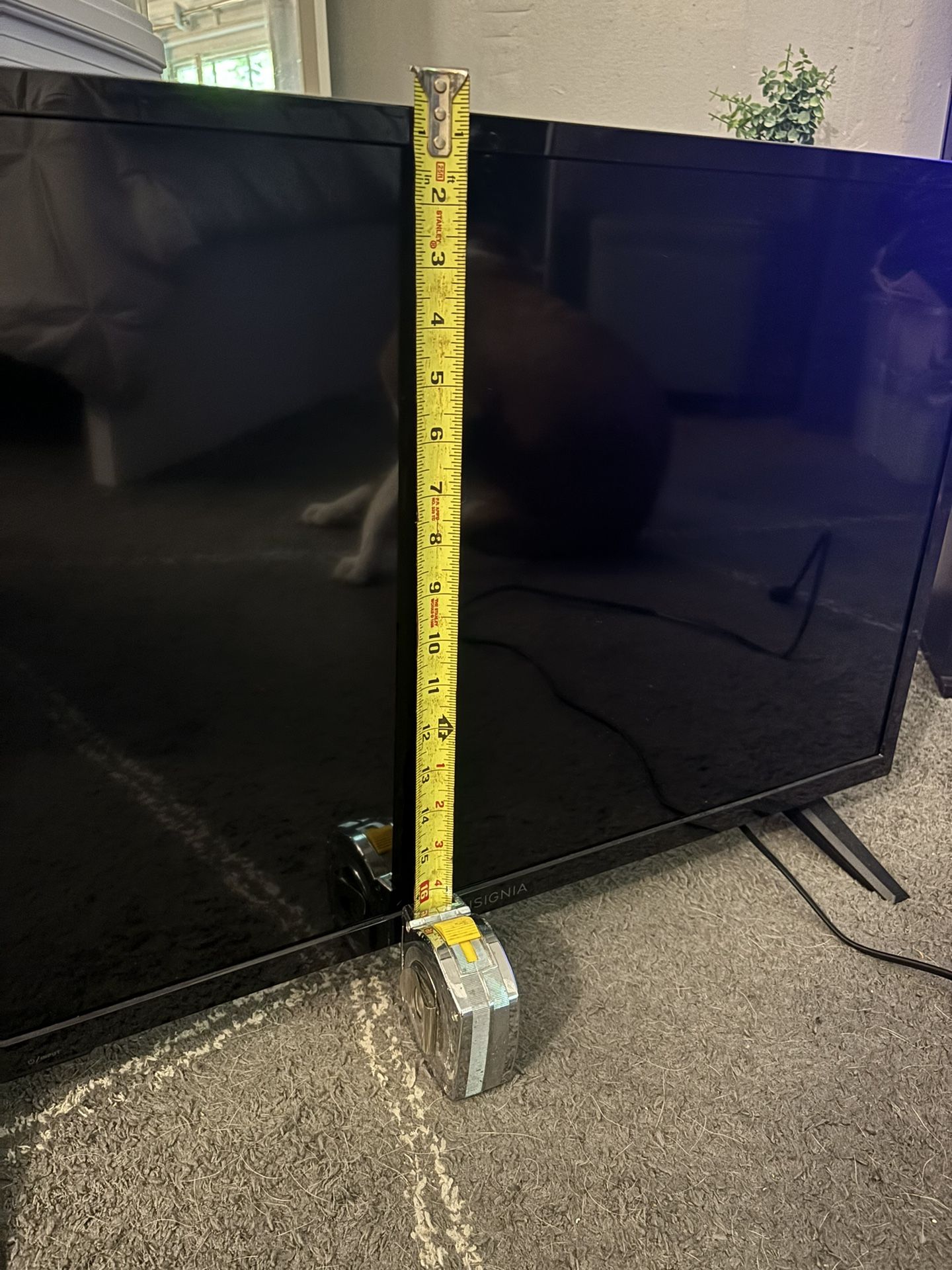 Television