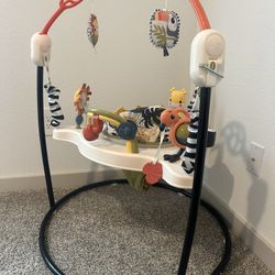 Baby Bouncer