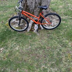 24” mountain bike