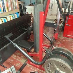 Syedee Dip Machine Exercise Machine