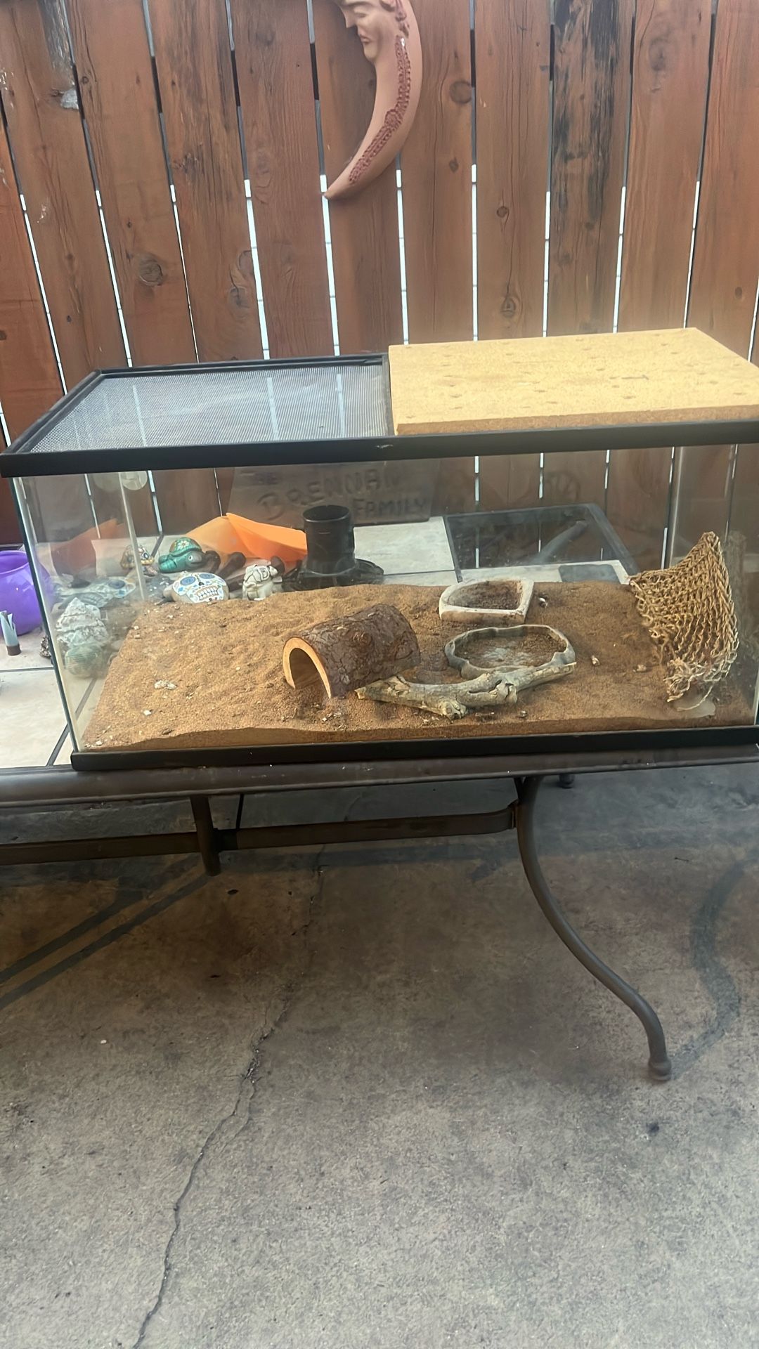 Lizard habitat