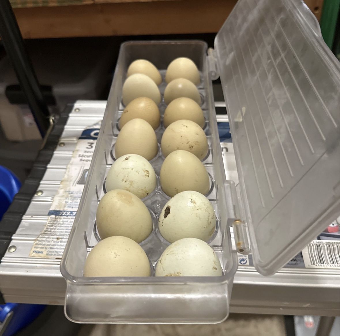 Dozen Of Organic Backyard Chicken Eggs