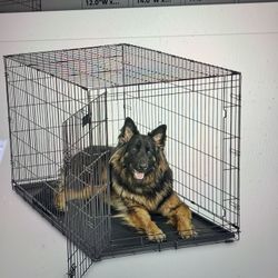 Dog Crate XL 