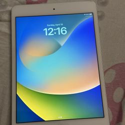 iPad Mini 5 256gb