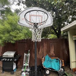 Adjusting Basketball Hoop. 