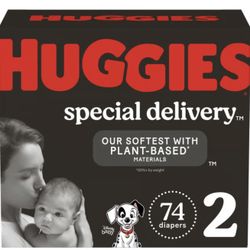 Huggies Special Delivery Hypoallergenic Fragrance Free Baby Diapers (74 ct) (Size 2) (12-18 lbs)