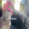 Nala 