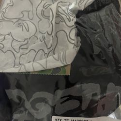 Bape Gradation tee 