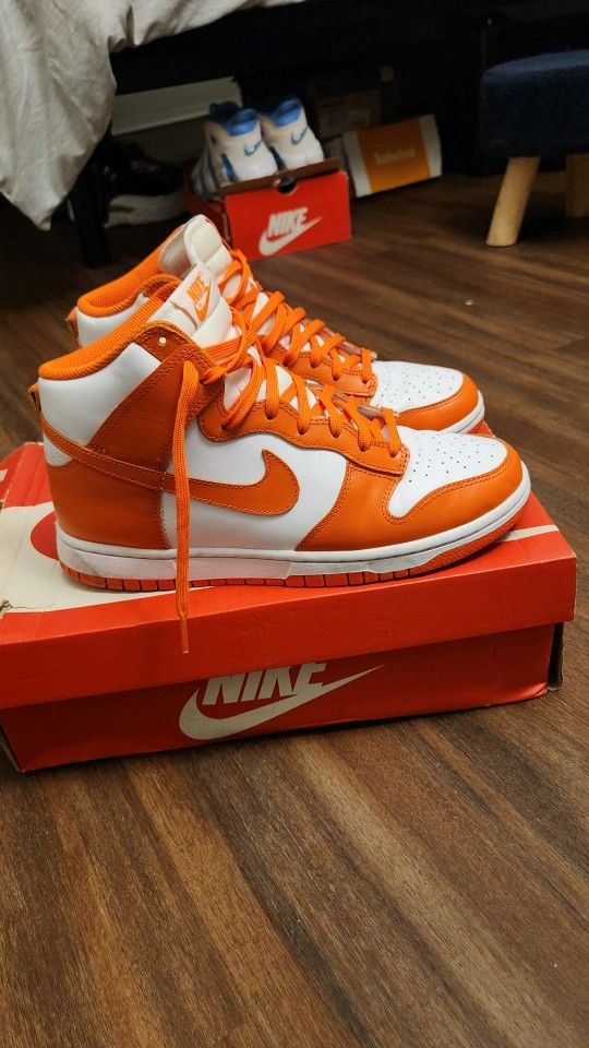 Nike Dunk Size 8