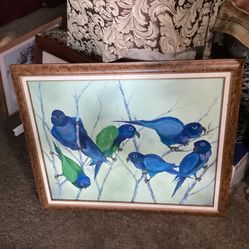 Frame Bird Paint 