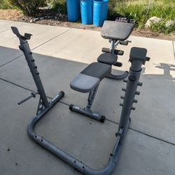 Bench And Pull Up Towers 