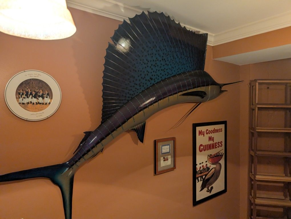 Beautiful Mounted 8ft. Sailfish