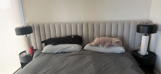 Modern bed frame and mattress