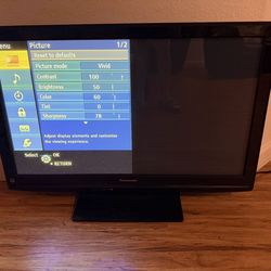 Panasonic 42" HD Television