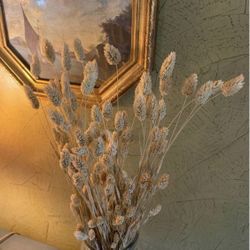 Dried Grass 