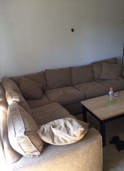 Sectional Couch And Love Seat