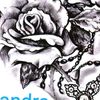 Sandra