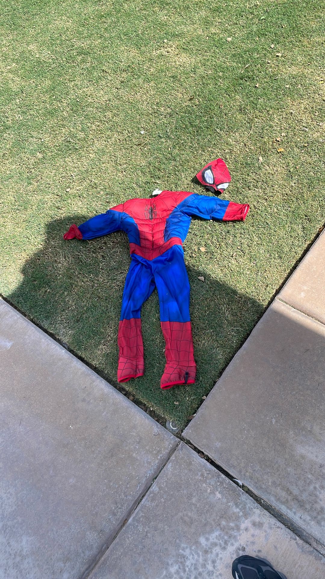 Toddler Spiderman Halloween Costume