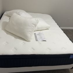 🛏️ Sofree Queen Size 12" Memory Foam Mattress + Free Pillows