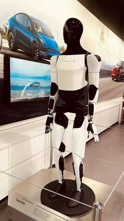 Brand •Tesla Model : Optimus Height : 180 cm ,white and black