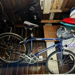 Schwinn Mountain Bike