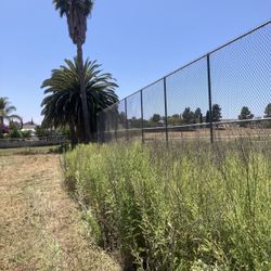 Brush Clearing